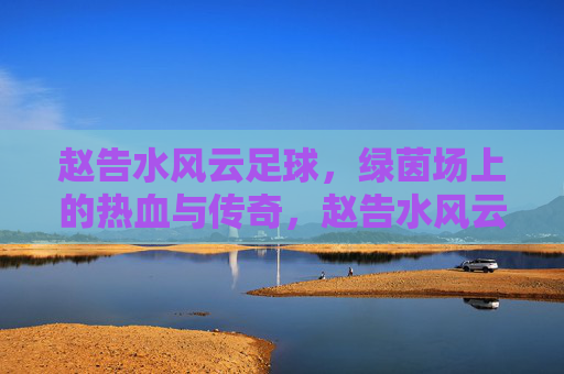 赵告水风云足球，绿茵场上的热血与传奇，赵告水风云足球，绿茵热血传奇