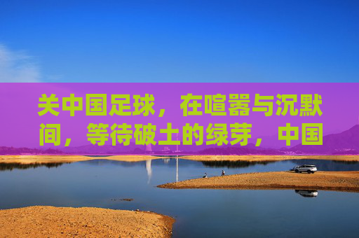 关中国足球,在喧嚣与沉默间,等待破土的绿芽,中国足球,喧嚣与沉默,绿芽待破土