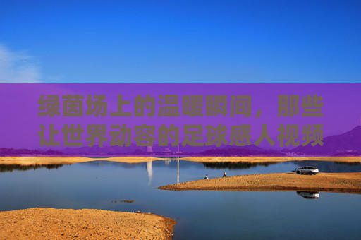 绿茵场上的温暖瞬间,那些让世界动容的足球感人视频,绿茵温情,那些让世界动容的足球感人瞬间