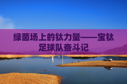 绿茵场上的钛力量——宝钛足球队奋斗记