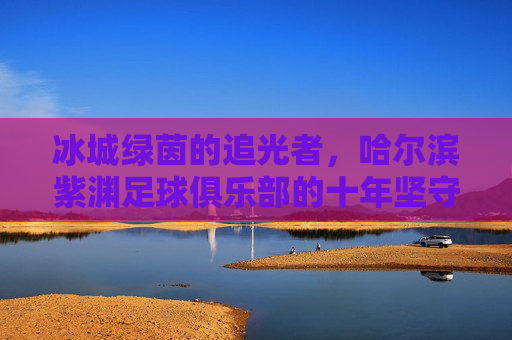 冰城绿茵的追光者,哈尔滨紫渊足球俱乐部的十年坚守,冰城绿茵追光者,哈尔滨紫渊十年坚守