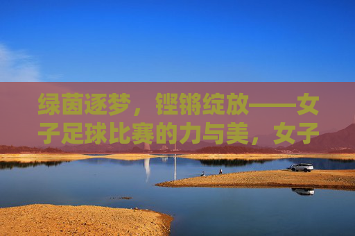 绿茵逐梦,铿锵绽放——女子足球比赛的力与美,女子足球,逐梦绿茵的力与美