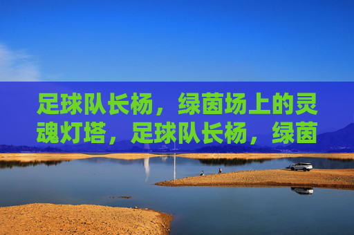 足球队长杨,绿茵场上的灵魂灯塔,足球队长杨,绿茵场的灵魂灯塔