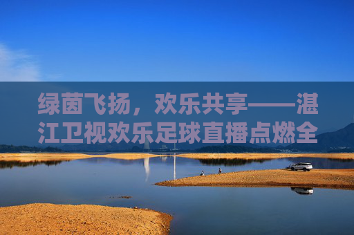 绿茵飞扬,欢乐共享——湛江卫视欢乐足球直播点燃全民足球热情,湛江卫视欢乐足球直播点燃全民足球热情