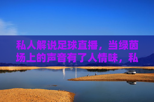 私人解说足球直播,当绿茵场上的声音有了人情味,私人解说的声音,绿茵场的人情味