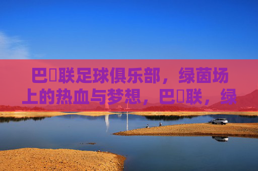 巴呑联足球俱乐部,绿茵场上的热血与梦想,巴呑联,绿茵场上的热血与梦想