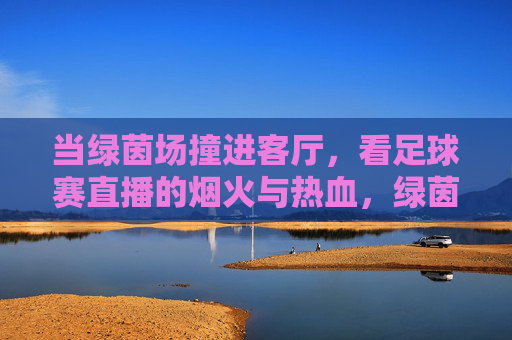 当绿茵场撞进客厅，看足球赛直播的烟火与热血，绿茵场撞进客厅，直播烟火与热血