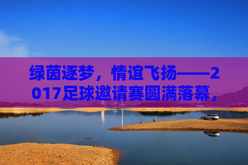 绿茵逐梦,情谊飞扬——2017足球邀请赛圆满落幕,绿茵逐梦,情谊飞扬——2017足球邀请赛圆满落幕