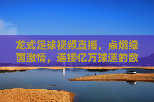 龙式足球视频直播,点燃绿茵激情,连接亿万球迷的数字赛场