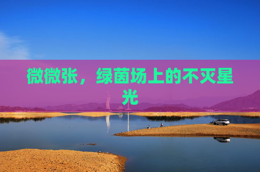 微微张,绿茵场上的不灭星光