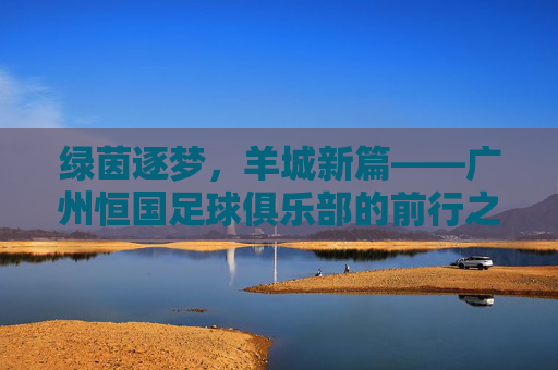 绿茵逐梦，羊城新篇——广州恒国足球俱乐部的前行之路，绿茵逐梦羊城新篇，广州恒国足球俱乐部前行之路