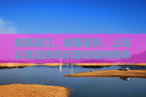 龙腾浦江,绿茵逐梦,上海以龙足球俱乐部的精神传承与崛起之路,龙腾浦江,上海以龙足球的精神传承与崛起
