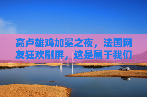 高卢雄鸡加冕之夜，法国网友狂欢刷屏，这是属于我们的荣耀！高卢雄鸡加冕之夜，法国狂欢刷屏荣耀时刻