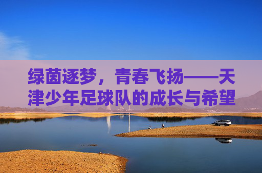 绿茵逐梦，青春飞扬——天津少年足球队的成长与希望，天津少年足球队，绿茵逐梦中的成长与希望