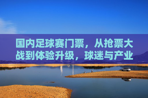 国内足球赛门票,从抢票大战到体验升级,球迷与产业的双向奔赴,国内足球门票,从抢票大战到体验升级的双向奔赴