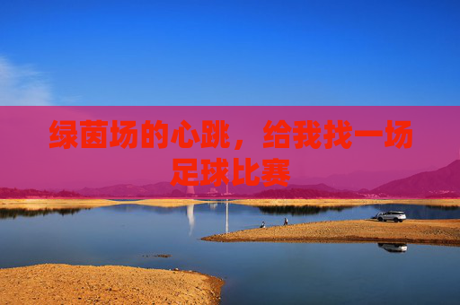 绿茵场的心跳,给我找一场足球比赛
