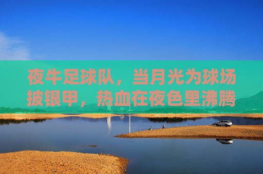 夜牛足球队,当月光为球场披银甲,热血在夜色里沸腾,夜牛足球队,月色为甲,热血燃夜