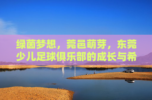 绿茵梦想,莞邑萌芽,东莞少儿足球俱乐部的成长与希望,绿茵梦想莞邑萌芽,东莞少儿足球俱乐部的成长与希望