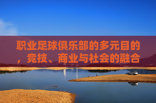职业足球俱乐部的多元目的,竞技、商业与社会的融合,职业足球俱乐部的三元融合,竞技、商业与社会