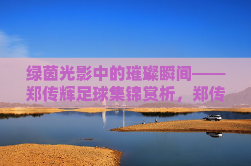 绿茵光影中的璀璨瞬间——郑传辉足球集锦赏析,郑传辉足球集锦,绿茵光影中的璀璨瞬间
