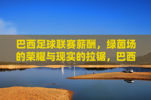 巴西足球联赛薪酬,绿茵场的荣耀与现实的拉锯,巴西足球联赛薪酬,绿茵场荣耀与现实的拉锯