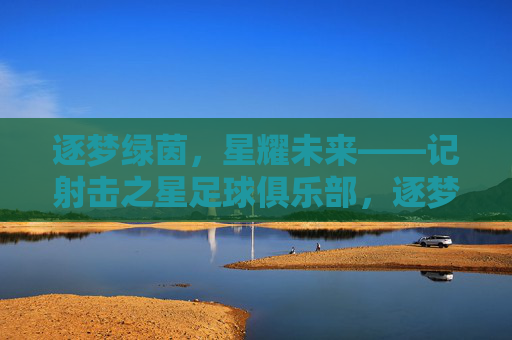 逐梦绿茵，星耀未来——记射击之星足球俱乐部，逐梦绿茵，星耀未来
