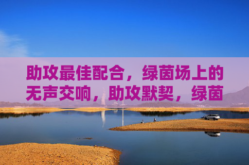 助攻最佳配合,绿茵场上的无声交响,助攻默契,绿茵无声交响