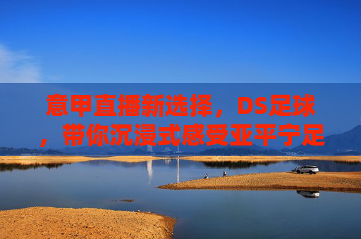 意甲直播新选择,DS足球,带你沉浸式感受亚平宁足球激情,DS足球,沉浸式亚平宁意甲激情