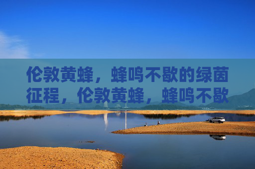 伦敦黄蜂，蜂鸣不歇的绿茵征程，伦敦黄蜂，蜂鸣不歇的绿茵征程