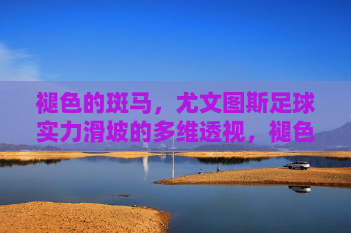 褪色的斑马,尤文图斯足球实力滑坡的多维透视,褪色的斑马,尤文图斯实力滑坡的多维透视