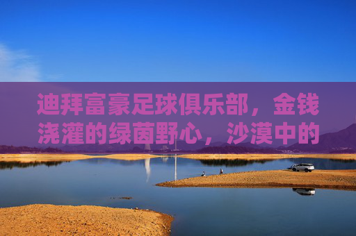 迪拜富豪足球俱乐部,金钱浇灌的绿茵野心,沙漠中的足球图腾,金钱浇灌的沙漠足球图腾