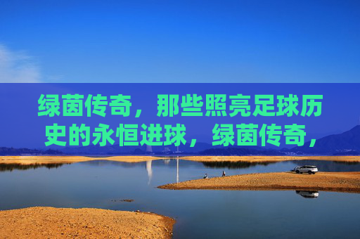 绿茵传奇，那些照亮足球历史的永恒进球，绿茵传奇，照亮历史的永恒进球
