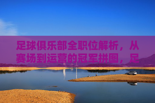 足球俱乐部全职位解析，从赛场到运营的冠军拼图，足球俱乐部全职位解析，从赛场到运营的冠军拼图