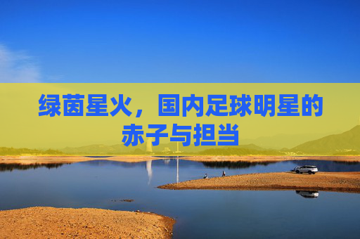 绿茵星火,国内足球明星的赤子与担当