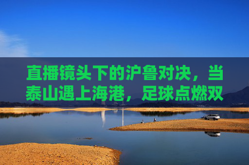 直播镜头下的沪鲁对决，当泰山遇上海港，足球点燃双城记，泰山海港沪鲁双城对决