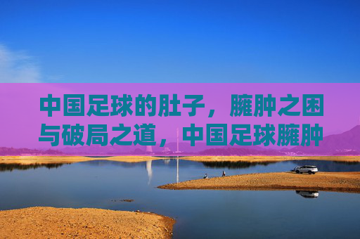 中国足球的肚子,臃肿之困与破局之道,中国足球臃肿困局与破局之道