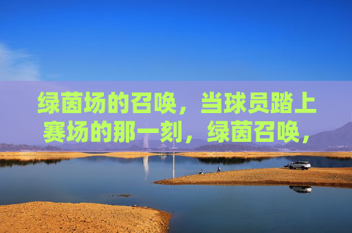 绿茵场的召唤，当球员踏上赛场的那一刻，绿茵召唤，赛场启程