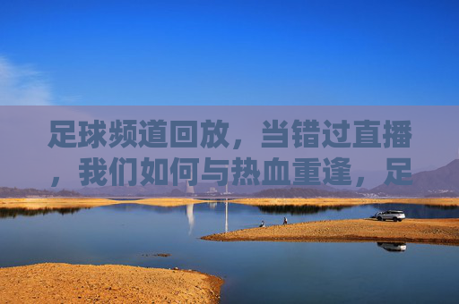 足球频道回放,当错过直播,我们如何与热血重逢,足球回放,直播错过,热血重逢