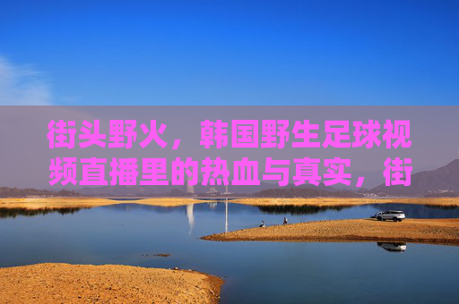 街头野火,韩国野生足球视频直播里的热血与真实,街头野火,韩国野生足球直播的热血与真实