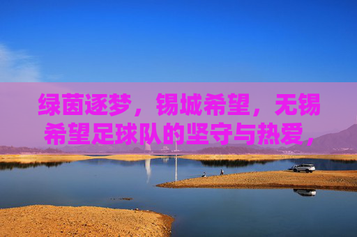 绿茵逐梦,锡城希望,无锡希望足球队的坚守与热爱,绿茵逐梦锡城希望,无锡足球队坚守热爱