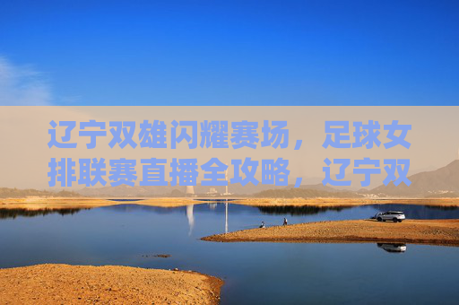 辽宁双雄闪耀赛场,足球女排联赛直播全攻略,辽宁双雄闪耀赛场,足球女排联赛直播全攻略