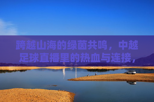 跨越山海的绿茵共鸣，中越足球直播里的热血与连接，中越足球直播，跨越山海的绿茵热血共鸣