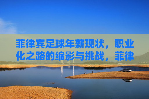 菲律宾足球年薪现状,职业化之路的缩影与挑战,菲律宾足球年薪,职业化之路的缩影与挑战