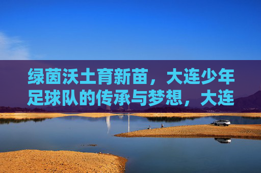 绿茵沃土育新苗,大连少年足球队的传承与梦想,大连少年足球队,传承沃土育新苗,逐梦绿茵