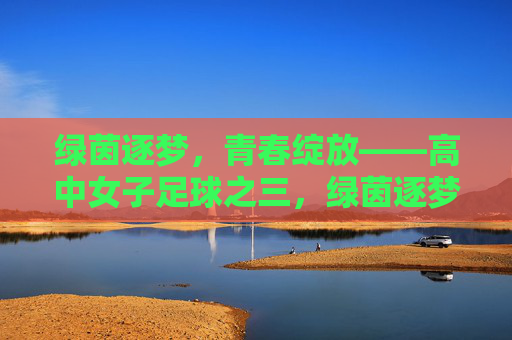 绿茵逐梦,青春绽放——高中女子足球之三,绿茵逐梦,青春绽放——高中女子足球