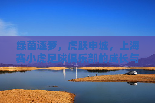 绿茵逐梦,虎跃申城,上海赛小虎足球俱乐部的成长与热爱