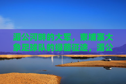 湄公河畔的大军,柬埔寨大象足球队的绿茵征途,湄公河畔大象足球队的绿茵征途
