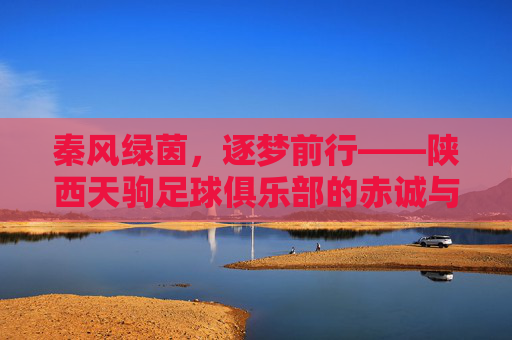 秦风绿茵,逐梦前行——陕西天驹足球俱乐部的赤诚与坚守,秦风绿茵逐梦赤诚坚守——陕西天驹