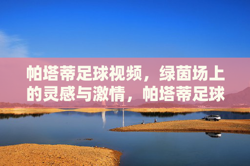 帕塔蒂足球视频，绿茵场上的灵感与激情，帕塔蒂足球视频，绿茵场上的灵感与激情