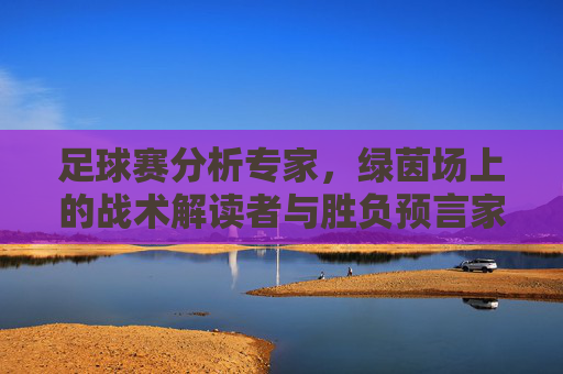 足球赛分析专家,绿茵场上的战术解读者与胜负预言家,绿茵场战术解读者与胜负预言家